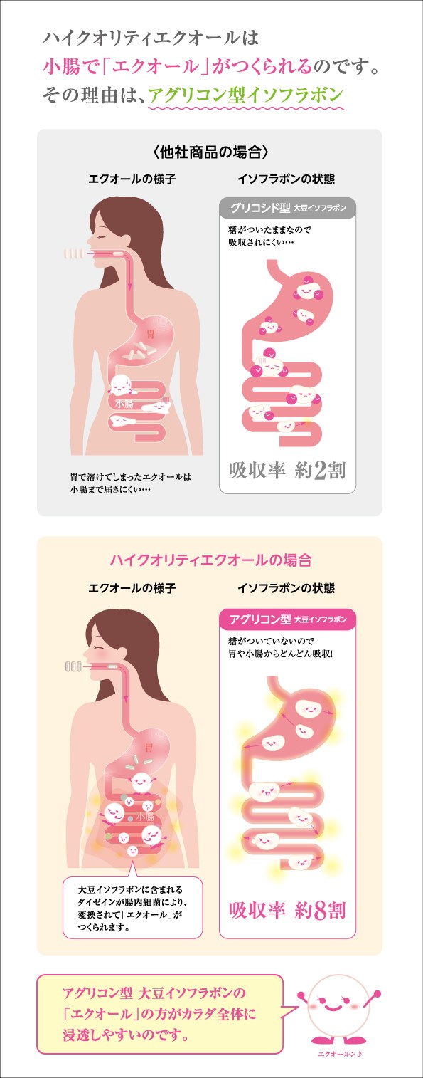 大豆イソフラボンに含まれるダイゼインが腸内細菌により、変換されてエクオールが作られます。