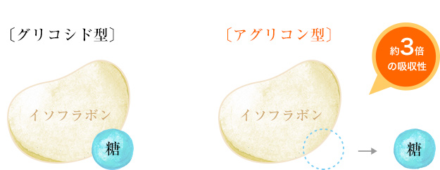 グリコシド型 アグリコン型 約3倍の吸収性